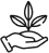 main-fleur